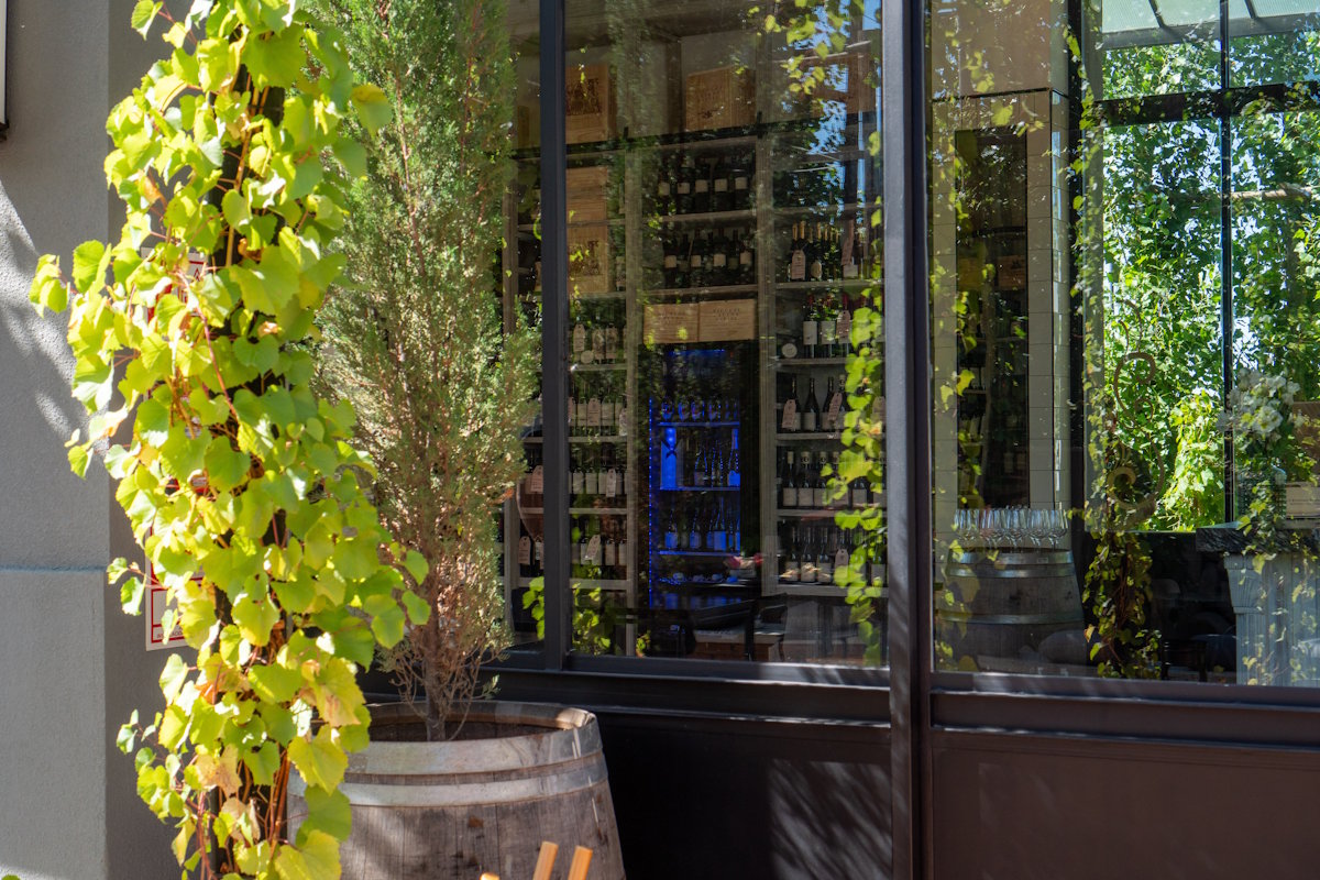 Productos del Mercado 5